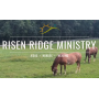 Risen Ridge Ministries Charity Auction
